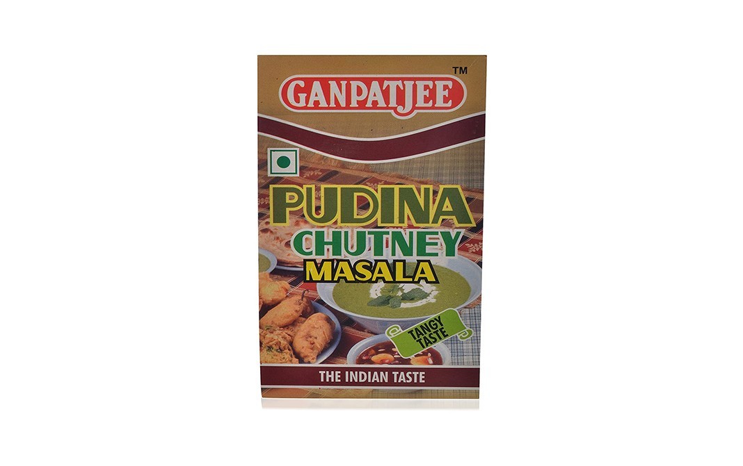 Ganpatjee Pudina Chutney Masala    Box  100 grams